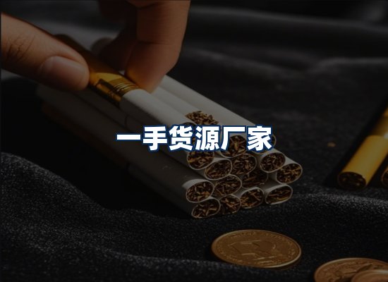 专业团队办公环境